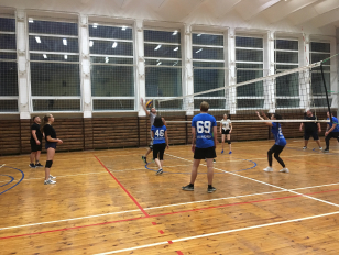 Сотрудники компании играют в волейбол