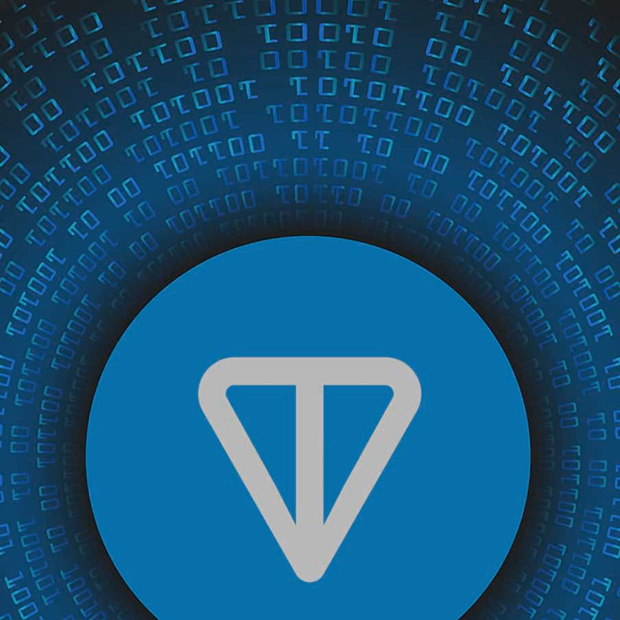 TON project preview